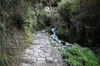 Canon EOS 5D Mark II, 2010:04:28 08:40:00 -- 1/100 sec, f/4.5.  No Flash, Compulsory.5616x3744 Off.