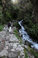 Canon EOS 5D Mark II, 2010:04:28 08:40:34 -- 1/100 sec, f/4.0.  No Flash, Compulsory.5616x3744 Off.