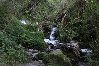 Canon EOS 5D Mark II, 2010:04:28 08:42:27 -- 1/100 sec, f/4.0.  No Flash, Compulsory.5616x3744 Off.