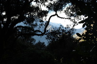 Canon EOS 5D Mark II, 2010:04:28 08:52:43 -- 1/100 sec, f/5.6.  No Flash, Compulsory.5616x3744 Off.