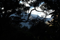 Canon EOS 5D Mark II, 2010:04:28 08:52:43 -- 1/100 sec, f/8.0.  No Flash, Compulsory.5616x3744 Off.