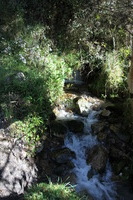 Canon EOS 5D Mark II, 2010:04:28 09:15:29 -- 1/80 sec, f/4.5.  No Flash, Compulsory.5616x3744 Off.