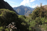 Canon EOS 5D Mark II, 2010:04:28 09:36:11 -- 1/80 sec, f/10.0.  No Flash, Compulsory.5616x3744 Off.