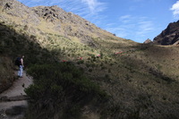 Canon EOS 5D Mark II, 2010:04:28 10:26:51 -- 1/80 sec, f/10.0.  No Flash, Compulsory.5616x3744 Off.