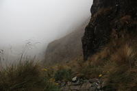 Canon EOS 5D Mark II, 2010:04:28 12:09:45 -- 1/80 sec, f/10.0.  No Flash, Compulsory.5616x3744 Off.