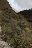 Canon EOS 5D Mark II, 2010:04:28 12:22:02 -- 1/80 sec, f/14.0.  No Flash, Compulsory.5616x3744 Off.