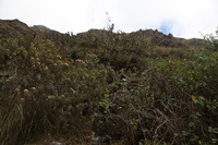 Canon EOS 5D Mark II, 2010:04:28 12:34:18 -- 1/80 sec, f/9.0.  No Flash, Compulsory.5616x3744 Off.