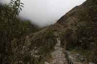 Canon EOS 5D Mark II, 2010:04:28 12:34:22 -- 1/80 sec, f/10.0.  No Flash, Compulsory.5616x3744 Off.