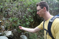 Canon EOS 5D Mark II, 2010:04:28 12:34:30 -- 1/80 sec, f/5.0.  No Flash, Compulsory.5616x3744 Off.