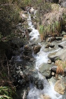 Canon EOS 5D Mark II, 2010:04:28 12:55:41 -- 1/80 sec, f/11.0.  No Flash, Compulsory.5616x3744 Off.