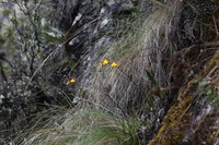 Canon EOS 5D Mark II, 2010:04:28 15:18:35 -- 1/60 sec, f/7.1.  No Flash, Compulsory.5616x3744 Off.