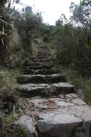 Canon EOS 5D Mark II, 2010:04:28 15:19:11 -- 1/60 sec, f/6.3.  No Flash, Compulsory.5616x3744 Off.