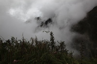 Canon EOS 5D Mark II, 2010:04:28 15:23:21 -- 1/60 sec, f/18.0.  No Flash, Compulsory.5616x3744 Off.