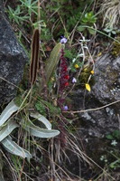 Canon EOS 5D Mark II, 2010:04:28 15:30:12 -- 1/60 sec, f/5.6.  No Flash, Compulsory.5616x3744 Off.