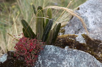 Canon EOS 5D Mark II, 2010:04:28 15:30:46 -- 1/60 sec, f/6.3.  No Flash, Compulsory.5616x3744 Off.