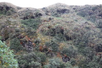 Canon EOS 5D Mark II, 2010:04:28 16:01:51 -- 1/80 sec, f/4.5.  No Flash, Compulsory.5616x3744 Off.