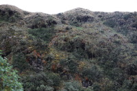 Canon EOS 5D Mark II, 2010:04:28 16:02:01 -- 1/100 sec, f/5.0.  No Flash, Compulsory.5616x3744 Off.