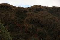 Canon EOS 5D Mark II, 2010:04:28 16:02:06 -- 1/200 sec, f/6.3.  No Flash, Compulsory.5616x3744 Off.