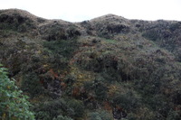 Canon EOS 5D Mark II, 2010:04:28 16:02:11 -- 1/125 sec, f/5.6.  No Flash, Compulsory.5616x3744 Off.