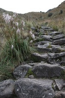 Canon EOS 5D Mark II, 2010:04:28 16:10:56 -- 1/80 sec, f/6.3.  No Flash, Compulsory.5616x3744 Off.