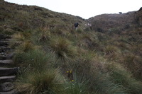 Canon EOS 5D Mark II, 2010:04:28 16:13:27 -- 1/125 sec, f/8.0.  No Flash, Compulsory.5616x3744 Off.