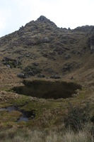 Canon EOS 5D Mark II, 2010:04:28 16:19:03 -- 1/100 sec, f/7.1.  No Flash, Compulsory.5616x3744 Off.