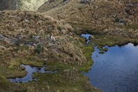 Canon EOS 5D Mark II, 2010:04:28 16:21:18 -- 1/200 sec, f/5.6.  No Flash, Compulsory.5616x3744 Off.