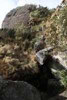 Canon EOS 5D Mark II, 2010:04:28 16:49:56 -- 1/125 sec, f/8.0.  No Flash, Compulsory.5616x3744 Off.