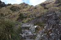 Canon EOS 5D Mark II, 2010:04:28 16:53:35 -- 1/100 sec, f/7.1.  No Flash, Compulsory.5616x3744 Off.