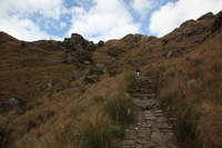 Canon EOS 5D Mark II, 2010:04:28 16:55:19 -- 1/125 sec, f/8.0.  No Flash, Compulsory.5616x3744 Off.