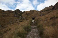 Canon EOS 5D Mark II, 2010:04:28 16:55:38 -- 1/125 sec, f/8.0.  No Flash, Compulsory.5616x3744 Off.