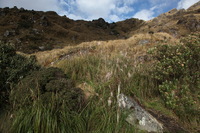 Canon EOS 5D Mark II, 2010:04:28 16:59:24 -- 1/200 sec, f/9.0.  No Flash, Compulsory.5616x3744 Off.