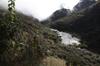 Canon EOS 5D Mark II, 2010:04:28 17:04:07 -- 1/160 sec, f/9.0.  No Flash, Compulsory.5616x3744 Off.