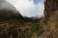 Canon EOS 5D Mark II, 2010:04:28 17:18:23 -- 1/125 sec, f/8.0.  No Flash, Compulsory.5616x3744 Off.