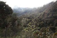 Canon EOS 5D Mark II, 2010:04:28 17:28:24 -- 1/100 sec, f/7.1.  No Flash, Compulsory.5616x3744 Off.