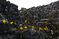 Canon EOS 5D Mark II, 2010:04:28 17:57:06 -- 1/60 sec, f/5.0.  No Flash, Compulsory.5616x3744 Off.