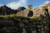 Canon EOS 5D Mark II, 2010:04:28 17:58:51 -- 1/125 sec, f/8.0.  No Flash, Compulsory.5616x3744 Off.