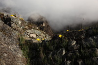 Canon EOS 5D Mark II, 2010:04:28 18:00:25 -- 1/250 sec, f/8.0.  No Flash, Compulsory.5616x3744 Off.