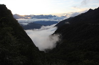 Canon EOS 5D Mark II, 2010:04:28 18:29:23 -- 1/80 sec, f/5.6.  No Flash, Compulsory.5616x3744 Off.