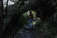 Canon EOS 5D Mark II, 2010:04:28 18:43:00 -- 1/6 sec, f/4.0.  No Flash, Compulsory.5616x3744 Off.