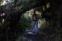 Canon EOS 5D Mark II, 2010:04:28 18:43:09 -- 1/5 sec, f/4.0.  No Flash, Compulsory.5616x3744 Off.