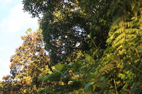 Canon EOS 5D Mark II, 2010:05:02 07:14:16 -- 1/125 sec, f/4.0.  No Flash, Compulsory.5616x3744 Off.