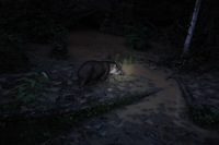 Canon EOS 5D Mark II, 2010:05:04 18:43:33 -- 1/6 sec, f/4.0.  No Flash, Compulsory.5616x3744 Off.