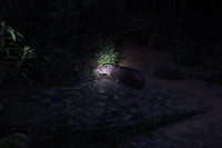 Canon EOS 5D Mark II, 2010:05:04 18:47:30 -- 0.3 sec, f/4.0.  No Flash, Compulsory.5616x3744 Off.