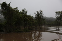 Canon EOS 5D Mark II, 2010:05:05 06:46:02 -- 1/60 sec, f/4.0.  No Flash, Compulsory.5616x3744 Off.