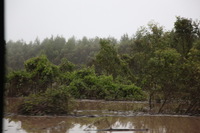 Canon EOS 5D Mark II, 2010:05:05 06:46:17 -- 1/100 sec, f/4.0.  No Flash, Compulsory.5616x3744 Off.