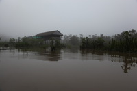 Canon EOS 5D Mark II, 2010:05:05 06:50:37 -- 1/30 sec, f/4.0.  No Flash, Compulsory.5616x3744 Off.