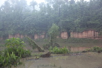 Canon EOS 5D Mark II, 2010:05:05 07:15:48 -- 1/60 sec, f/4.0.  No Flash, Compulsory.5616x3744 Off.