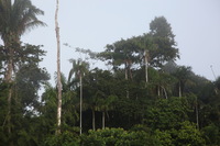 Canon EOS 5D Mark II, 2010:05:05 07:56:26 -- 1/200 sec, f/5.0.  No Flash, Compulsory.5616x3744 Off.