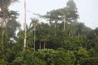 Canon EOS 5D Mark II, 2010:05:05 07:56:34 -- 1/125 sec, f/4.0.  No Flash, Compulsory.5616x3744 Off.